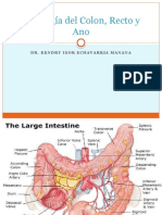 Fisiologia Del Colon