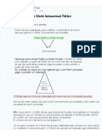 Direito Internacional Publico Resumo