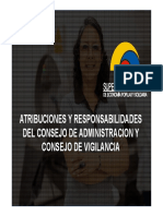 Atribuciones y Responsabilidades CA y CV