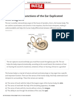 Structure and Functions of The Ear Explicated With Diagrams