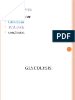 Glycolysis and TCA Cycle