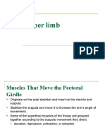 Upper Limb Lecture 1