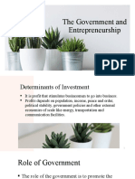 The Government and Entrepreneurship