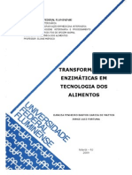 Transformações Enzimáticas em Tecnologia Dos Alimentos