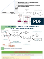 10 Insecticidas Expo 2p 2021-2