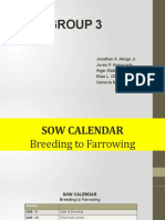 Sow Calendar Breeding To Farrowing