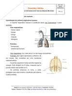 Resumos Ciencias Laura 6º