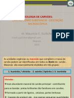 Modulo 2 - Aula 2 Descricao de Macerais