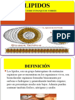 Lipidos. Bioquímica