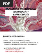 PLACENTA