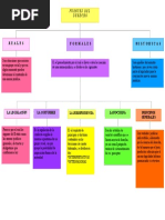 Mapa Conceptual Fuentes Del Derecho