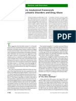 A New Anatomical Framework For Neuropsychiatric Disorders and Drug Abuse