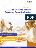 Brochure Máster Derecho Penal