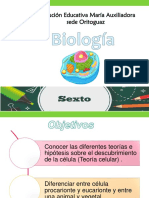 Clase 1 Biologia Sexto