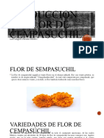 PRODUCCION DE FLOR DE CEMPASUCHIL Precentacion