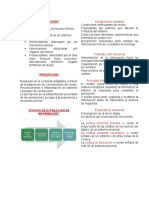 Sistemas Perceptuales en El Desarrollo