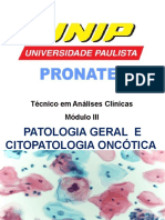 Aula 1 - Introdução À Patologia