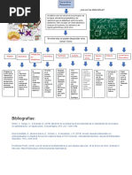 Mapa Mental o Conceptual de Una Clasificación de Las Ramas de Las Matemáticas Angel Isaias Rodriguez Valerio 1C