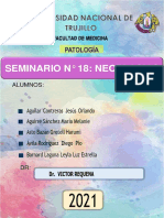 Seminario 18 - Neoplasias