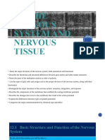 12 THE Nervous System and Nervous Tissue