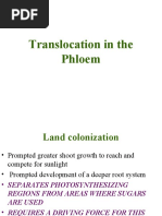 6-Translocation in The Phloem