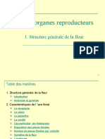 3-Organes Reproducteurs1