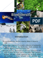 A Biodiversity Concept