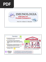 6 - Inflamação