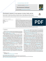 Physiological Responses To Lead Exposure in Wheat, Barley and Oat