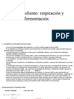 El Catabolismo. Respiración y Fermentación