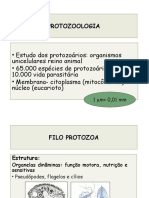 Parasitologia Veterinária