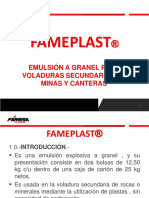 Fameplast® 31 Enero