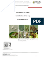 Ficha Técnica de Palomilla Del Nopal