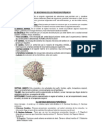 Bases Biológicas de Los Procesos Psíquicos