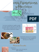 Practica 8 Micosis Subcutáneas (Cromomicosis, Esporotricosis y Micetoma)