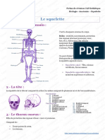 CAP-Bac-Pro-BTS-Esthetique-Biologie-Anatomie-Squelette Anatomie