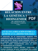 Relación Entre La Genética Y La Bioingeniería.: Mg. Edith Duklida Velásquez Valdivia Utea