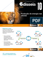 Odis10 PPT Producao Energia Celulas