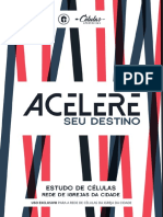 Acelere Seu Destino