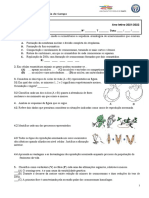 3 Teste 11 Ficha Revis o BG21 22