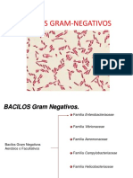 Tema 10. Bacilos Gram-Negativos