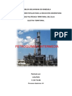 Trabajo Polimeros Petroquimicos