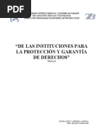 Informe Lottt Titulo Viii