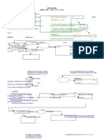 Esquema de Apelacion