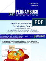 A Organização Do Corpo Humano, Enfatizando A Célula Como A Unidade Básica de Sua Organização