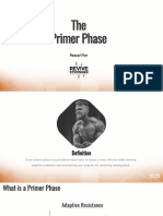 The Primer Phase: Pascal Flor