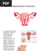 Aparato Reproductor Femenino Presentacion