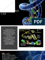 Adn y Arn Características