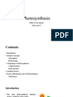 Photosynthesis: Rafia Urooj Saman 2020-Ag-937