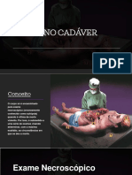 Cópia de Exame No Cadaver